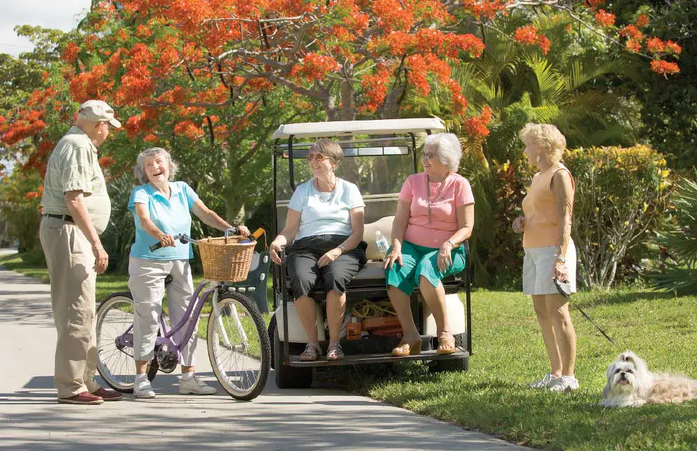 ERRV_GroupGolf East Ridge residents chatting around a gold cart