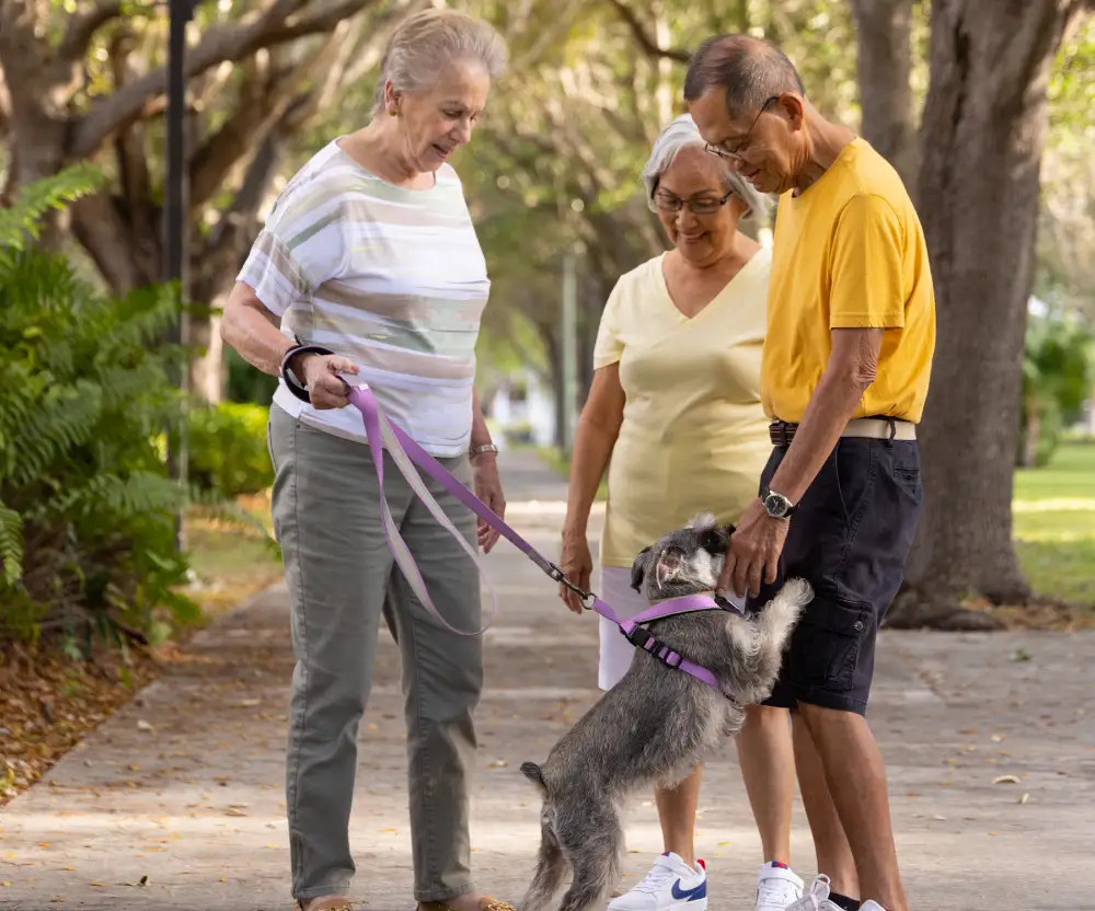 East Ridge at Cutler Bay senior residents walking their dog
