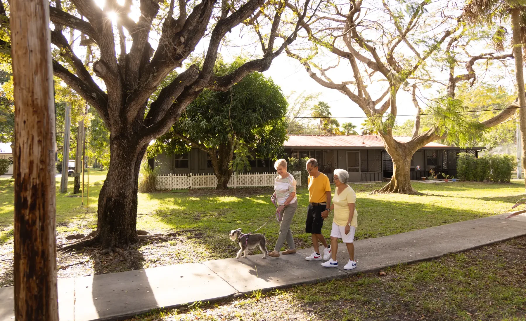 What Are the Best Companion Pets for Seniors?