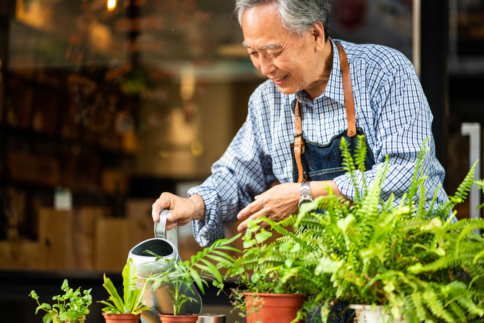 senior man watering his potted plants