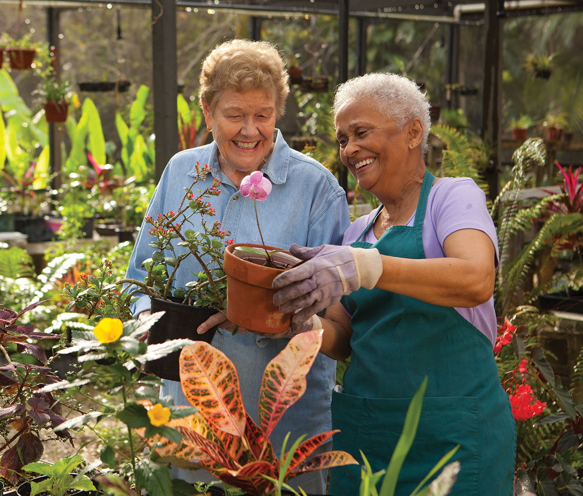 senior women admiring their potted plants in a greenhouse
